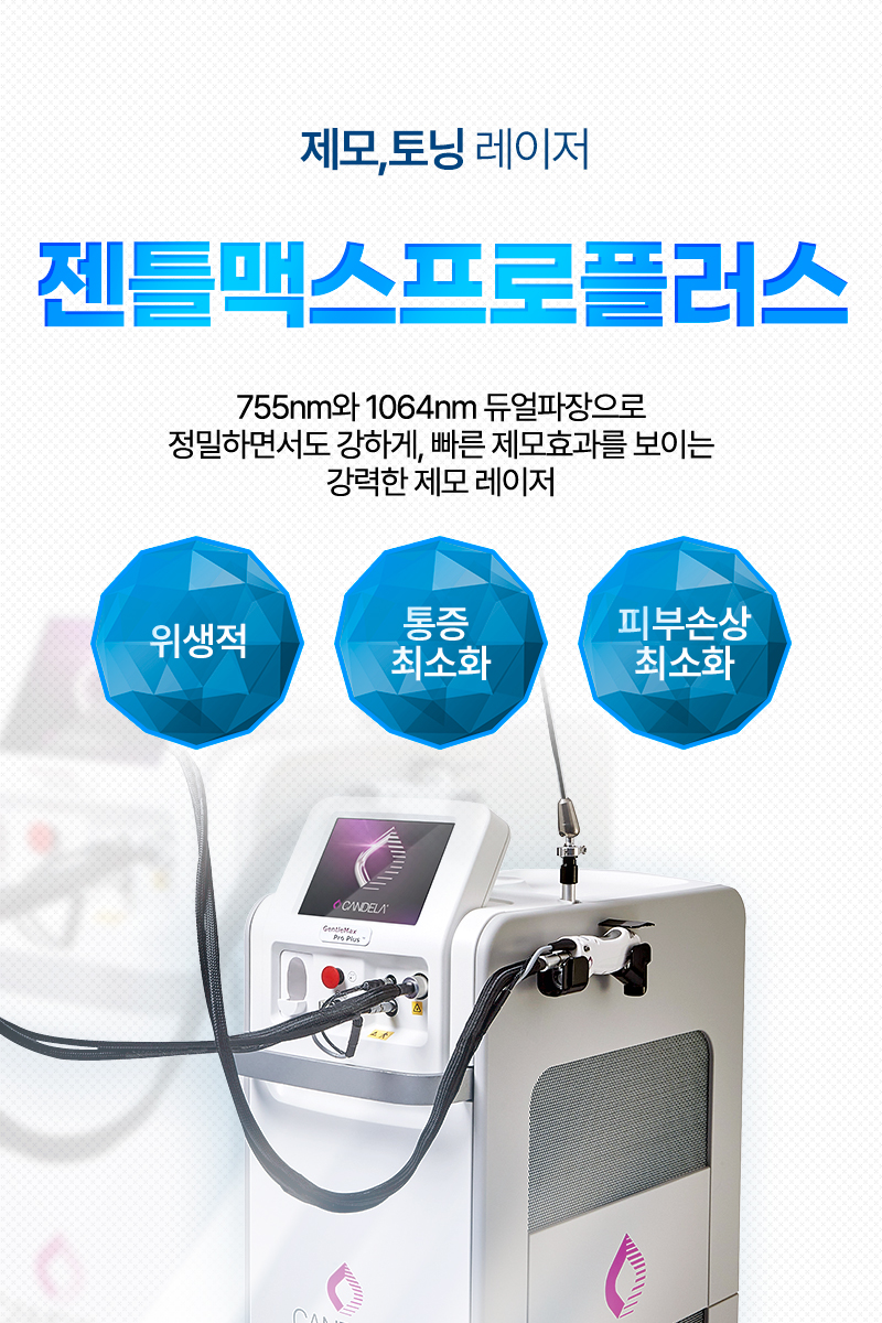 젠틀맥스프로플러스  - 마포공덕점